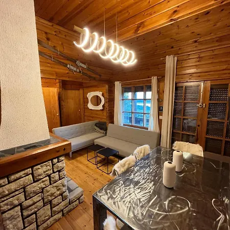 Le Chalet Cosy Du Pla Del Mir Chalet