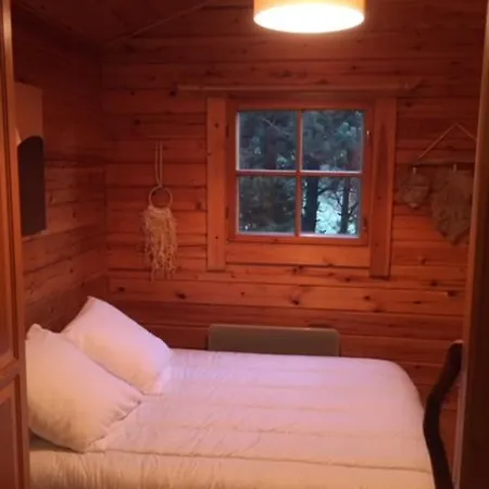 Le Chalet Cosy Du Pla Del Mir Chalet